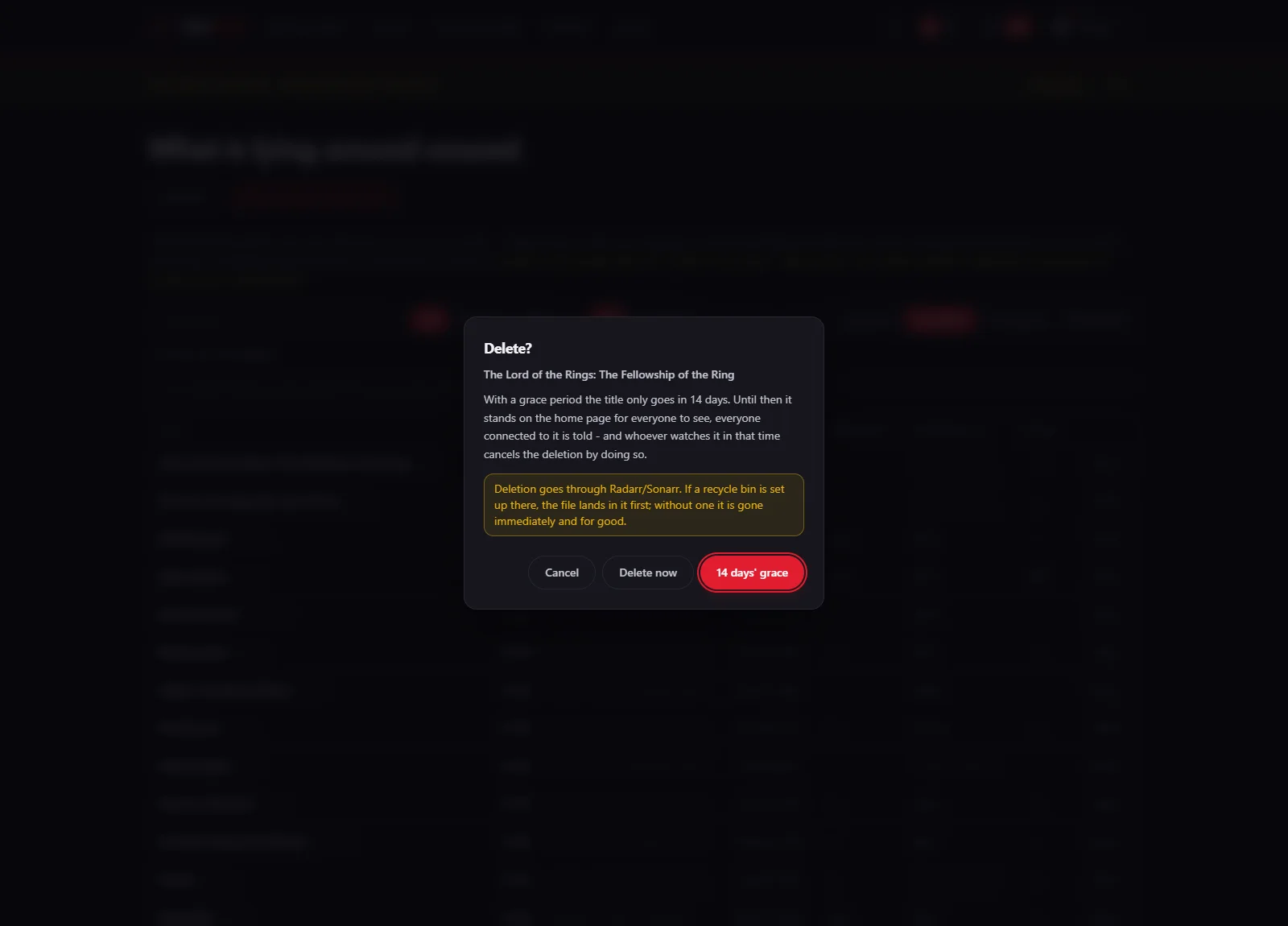 Screenshot: the delete dialogue with the choice between deleting now and fourteen days' grace, plus the note about the recycle bin in Radarr and Sonarr